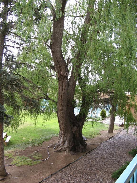Indian Hills Inn, Taos Plaza Екстер'єр фото